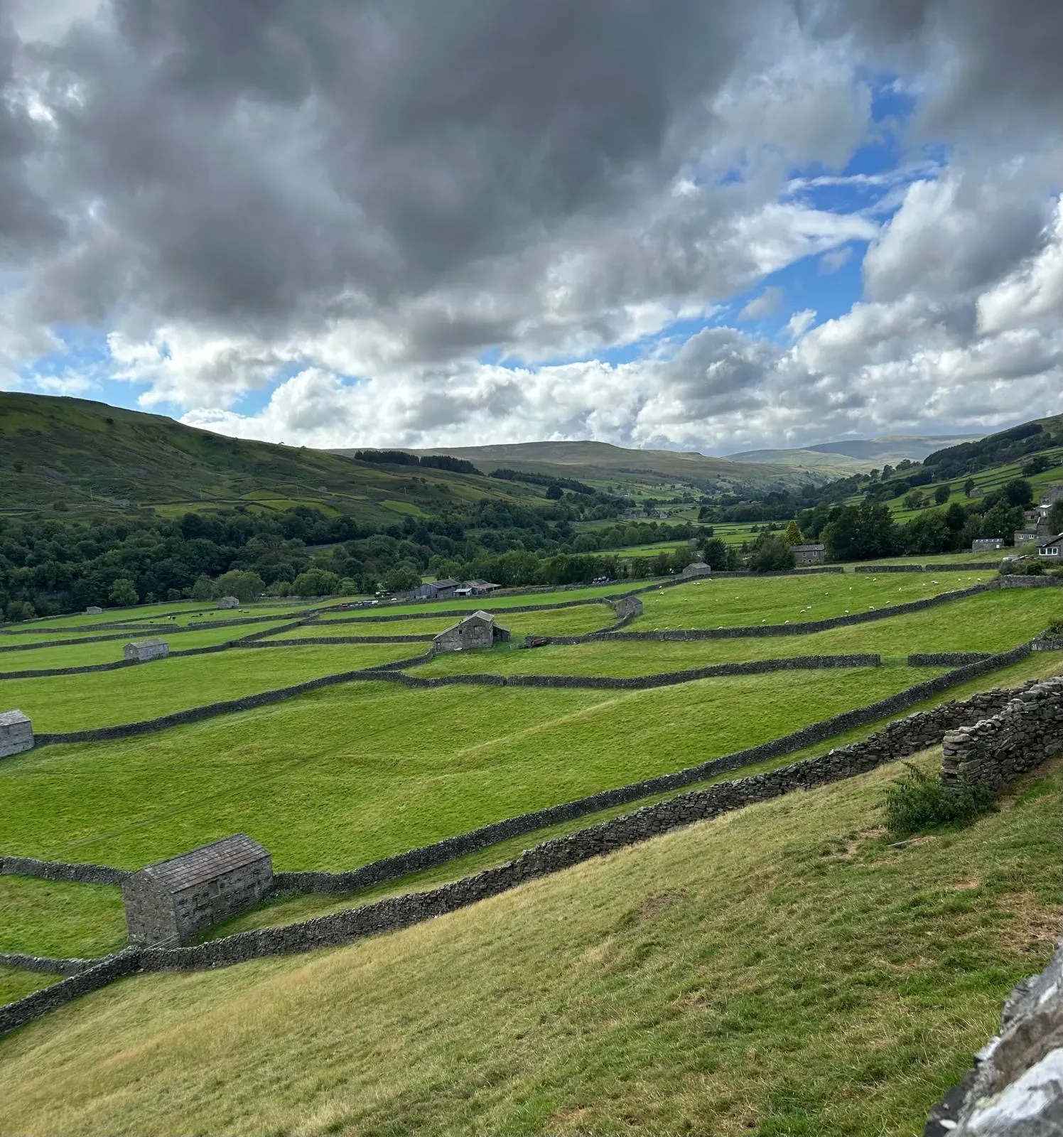 A view over Wensleydale in the Yorkshire Dales